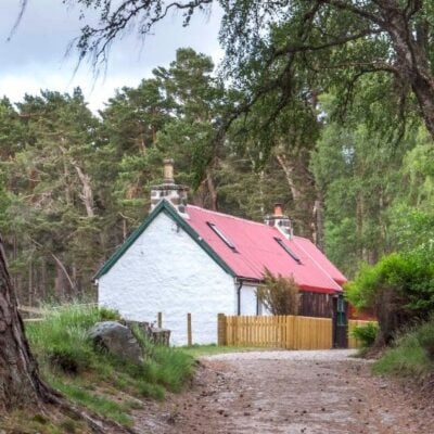 Forest Cottage - Luxury Highland Accommodation