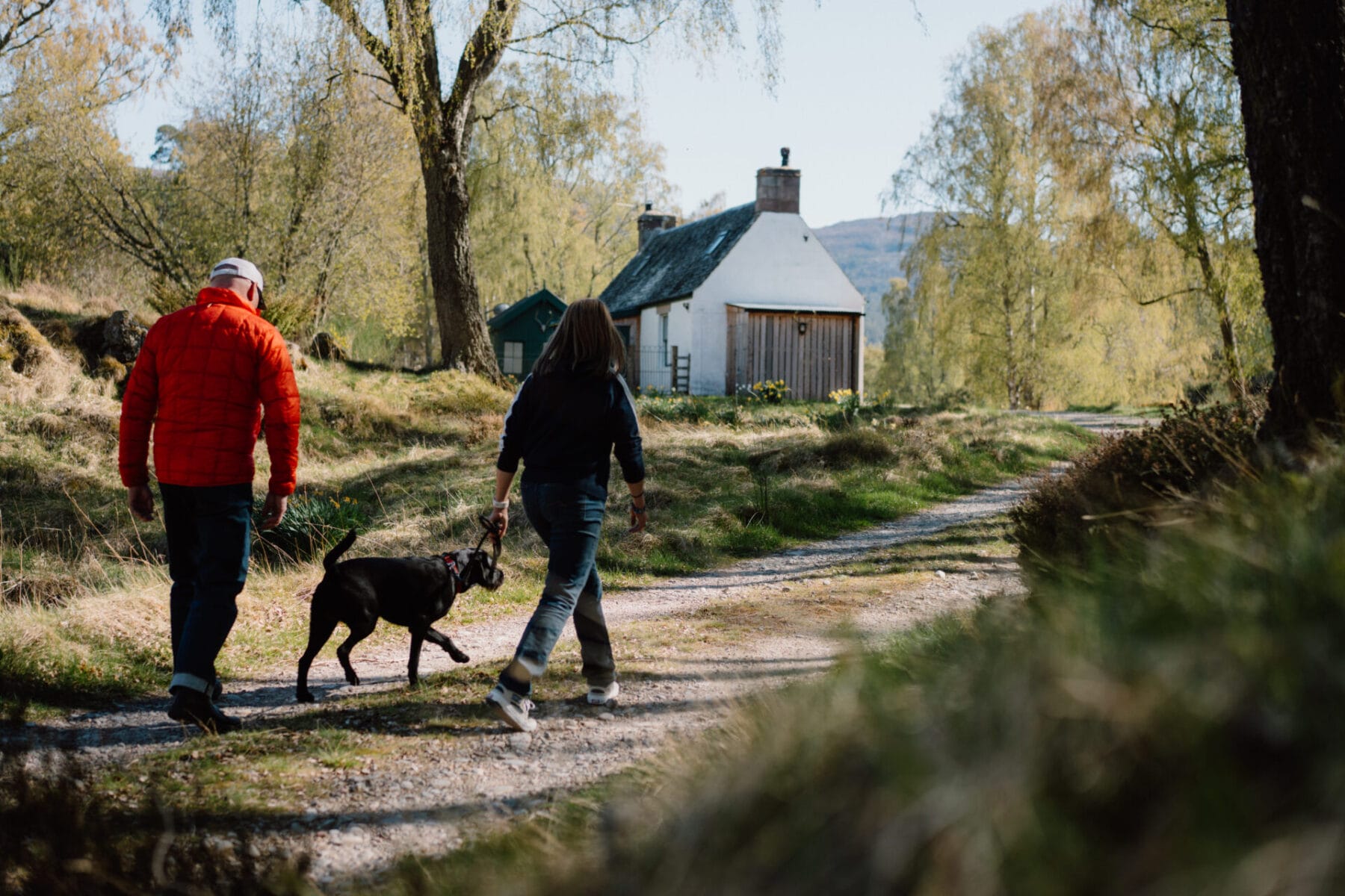 Couple walking the dog along the track to the cottage at Cairn Valley Cottage, Rothiemurchus, Aviemore